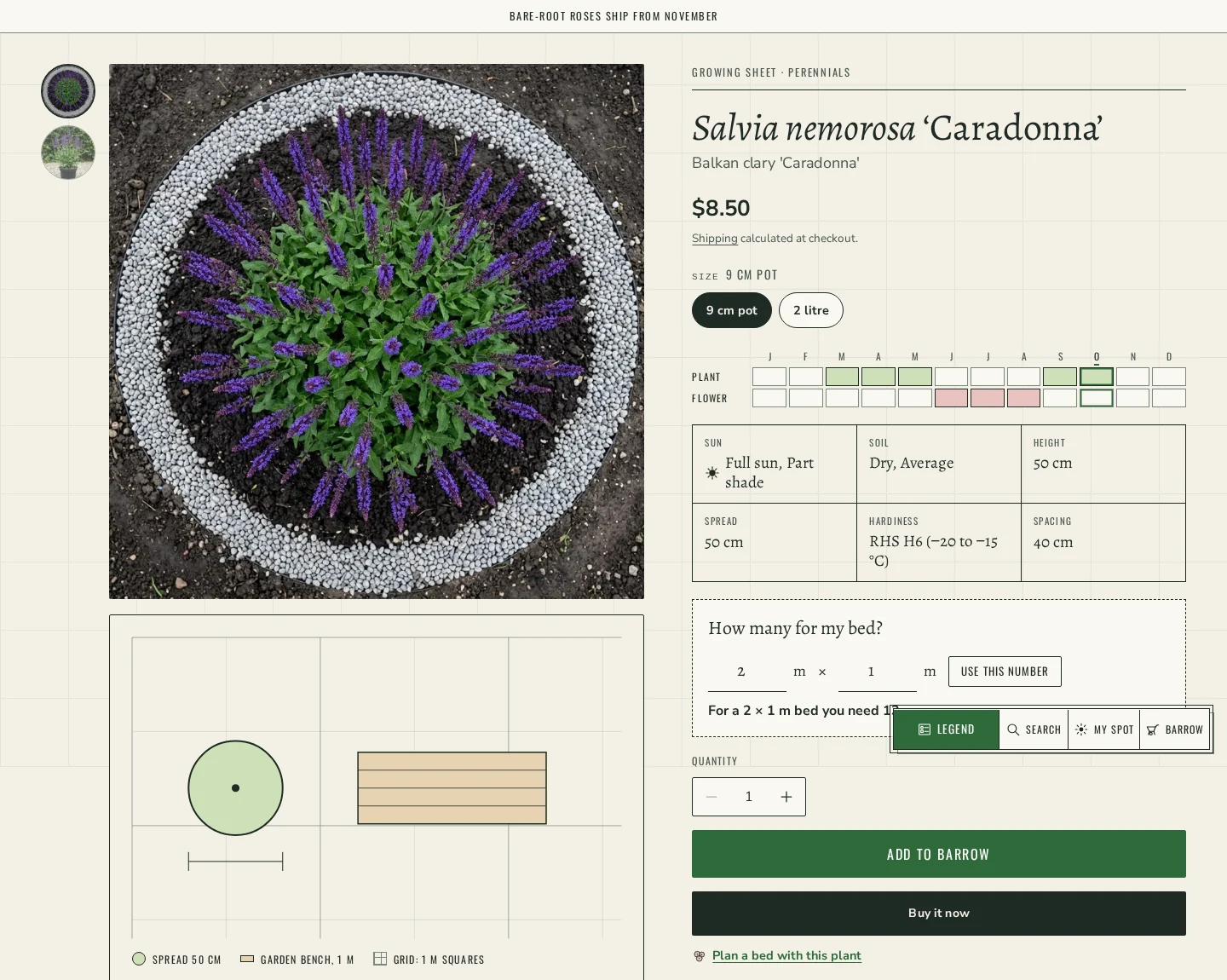 Growing Sheet product page for Salvia nemorosa 'Caradonna': month strip, facts table, How many for my bed and a plan drawing of its spread