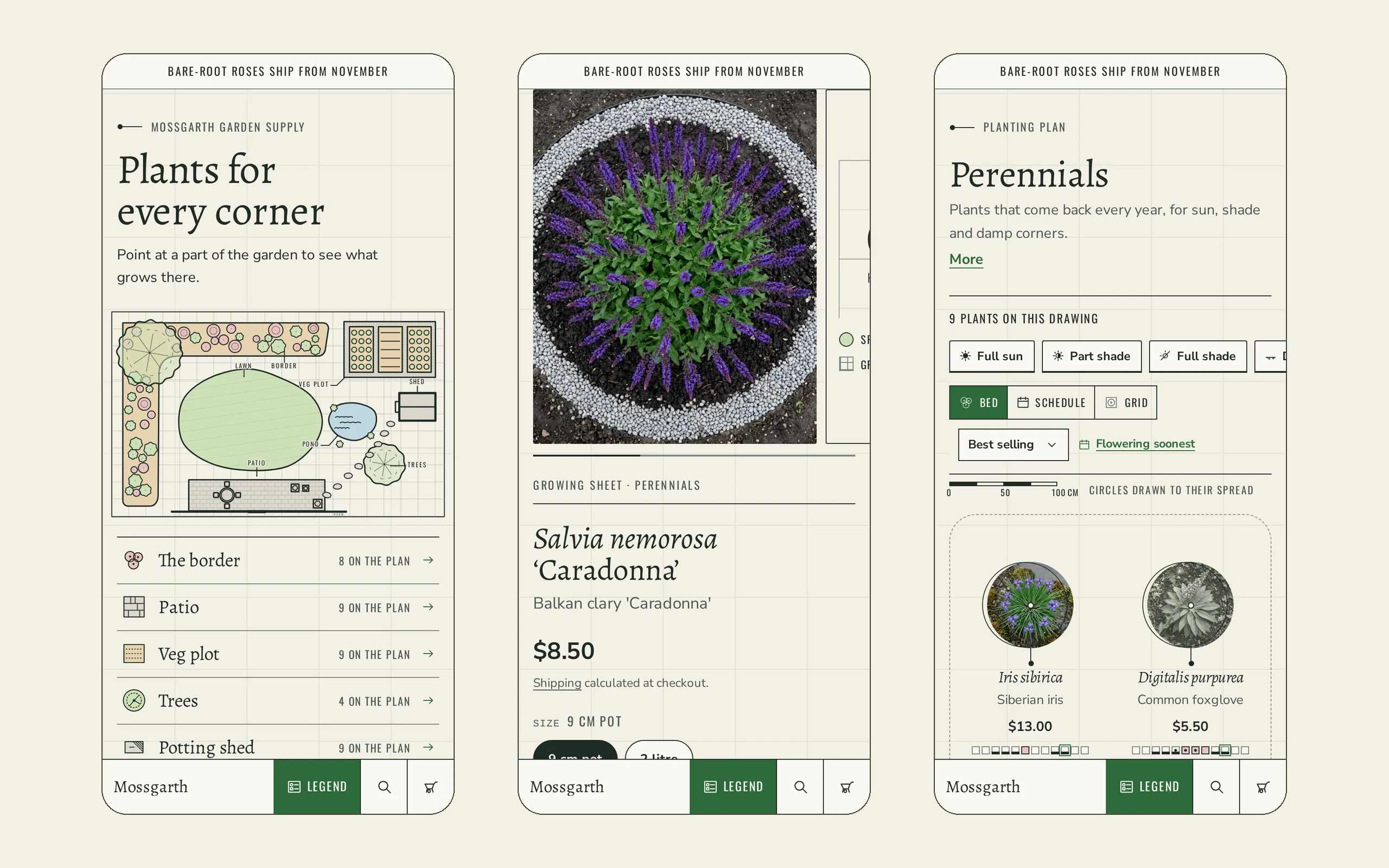 Gartiano on a phone: home page plan, Salvia Growing Sheet and Perennials collection, with the title block as a bottom strip